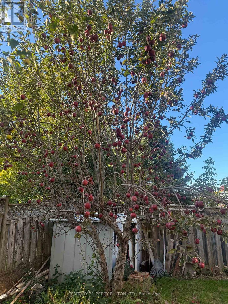 2 Littleborough Court, Toronto, Ontario  M1C 4S6 - Photo 50 - E12776632