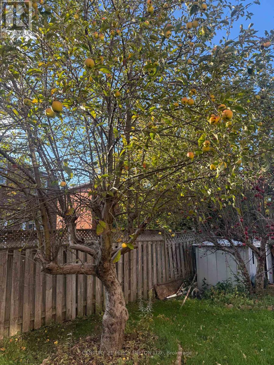 2 Littleborough Court, Toronto, Ontario  M1C 4S6 - Photo 49 - E12776632