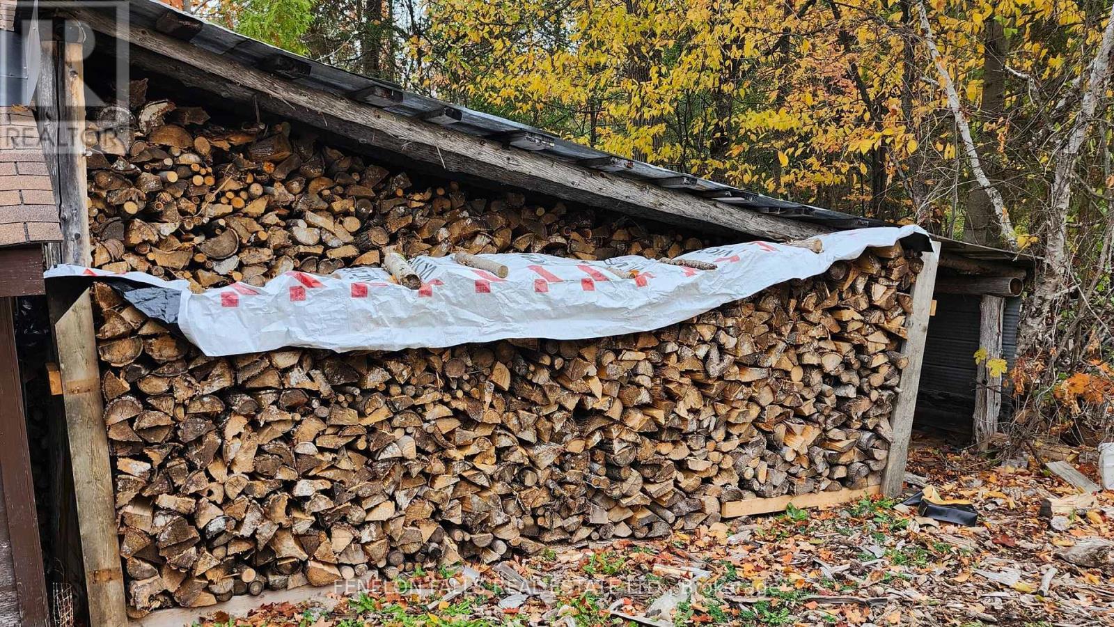 117 Echo Bay Road, Kawartha Lakes, Ontario  K0M 1A0 - Photo 31 - X12474485