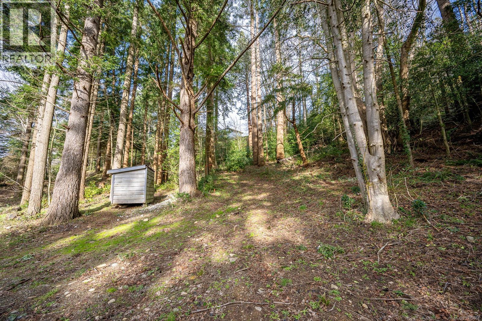 1179 Moore Rd, Comox, British Columbia  V9M 3X1 - Photo 59 - 1025061