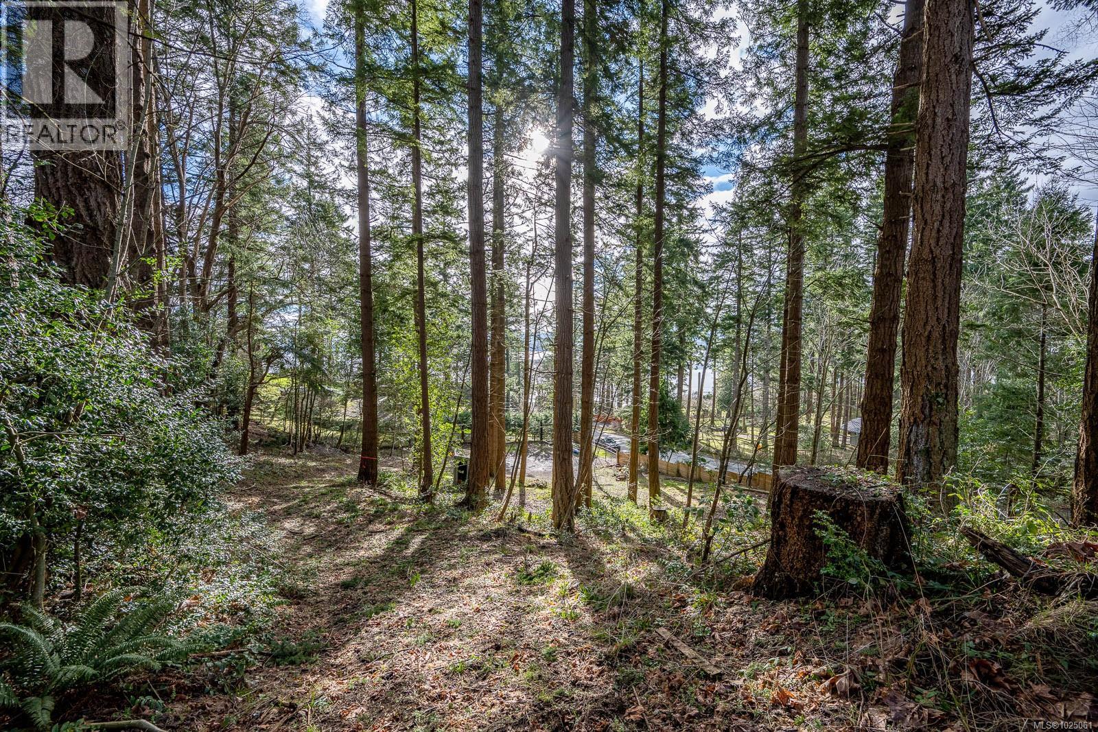 1179 Moore Rd, Comox, British Columbia  V9M 3X1 - Photo 62 - 1025061