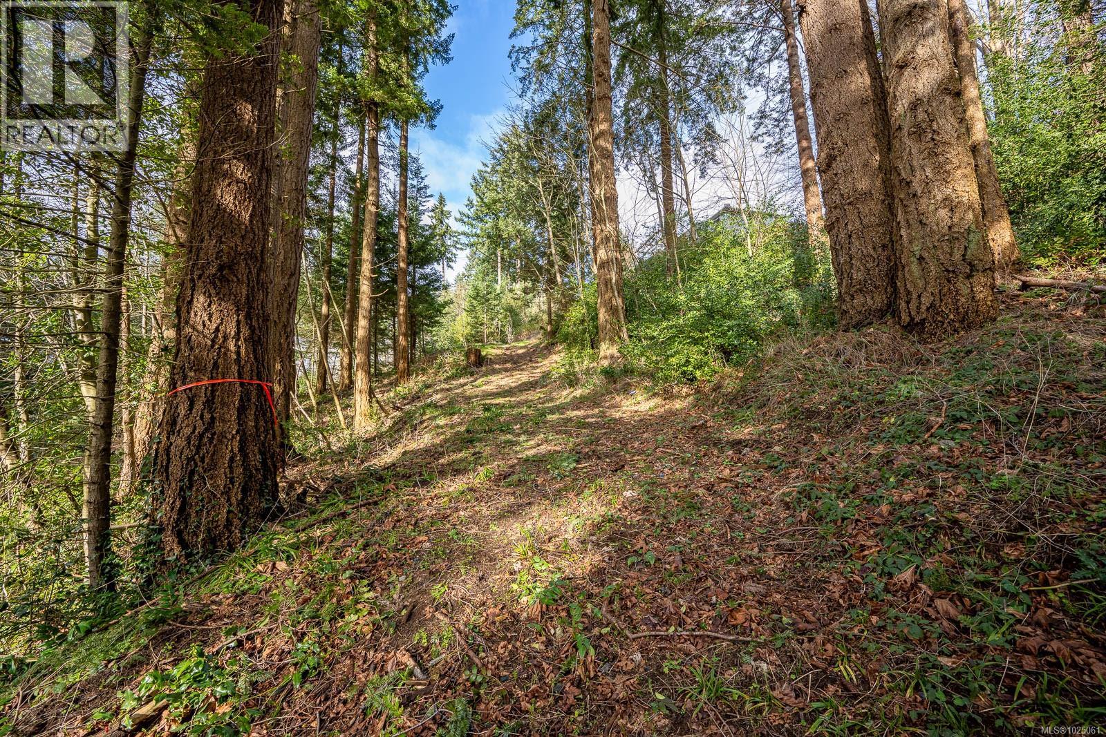 1179 Moore Rd, Comox, British Columbia  V9M 3X1 - Photo 61 - 1025061