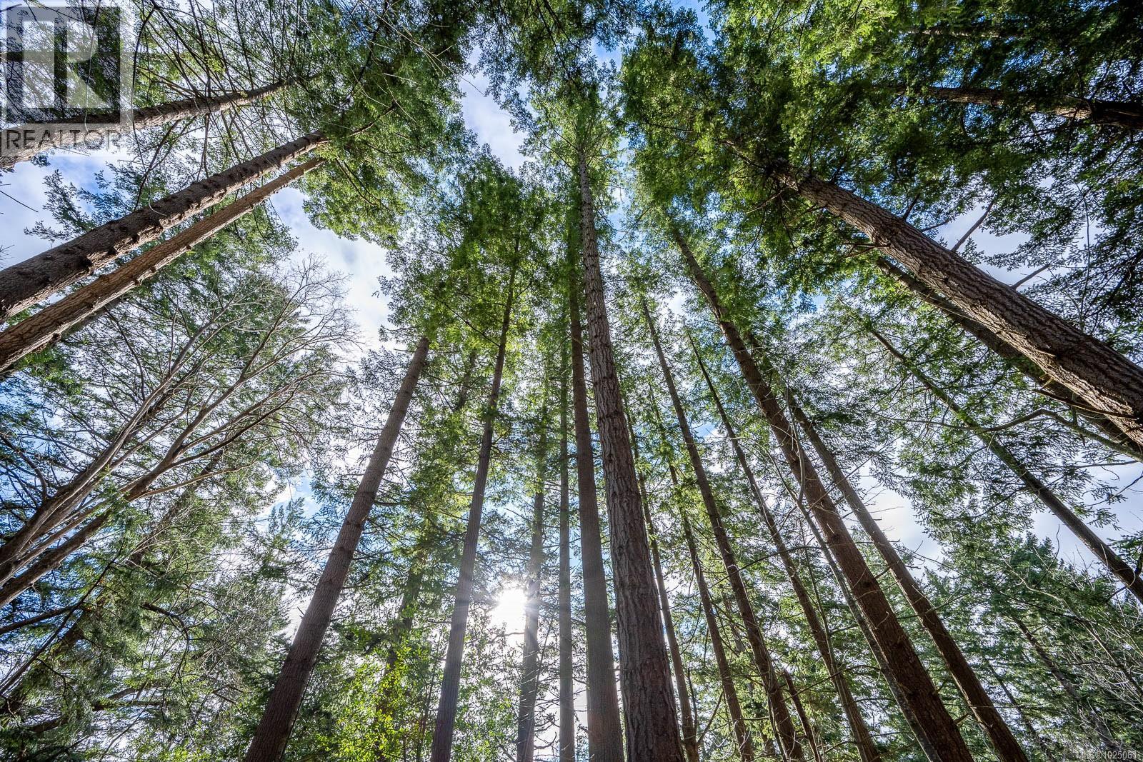 1179 Moore Rd, Comox, British Columbia  V9M 3X1 - Photo 63 - 1025061