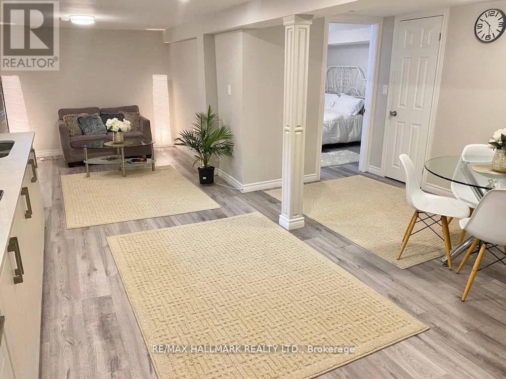 Basement - 214 Beechy Drive, Richmond Hill, Ontario  L4C 2X7 - Photo 2 - N12777818