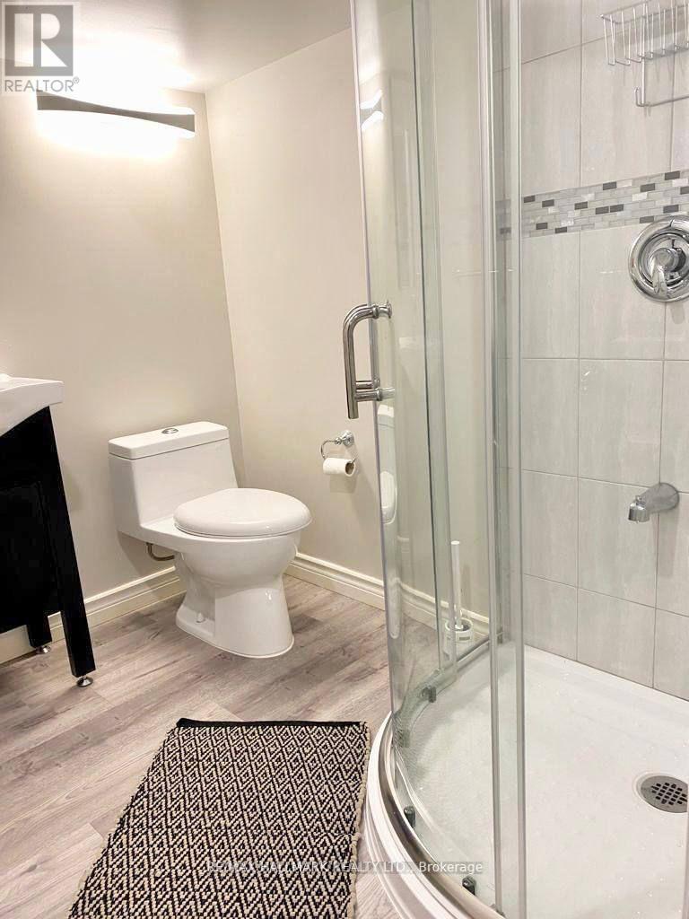 Basement - 214 Beechy Drive, Richmond Hill, Ontario  L4C 2X7 - Photo 7 - N12777818