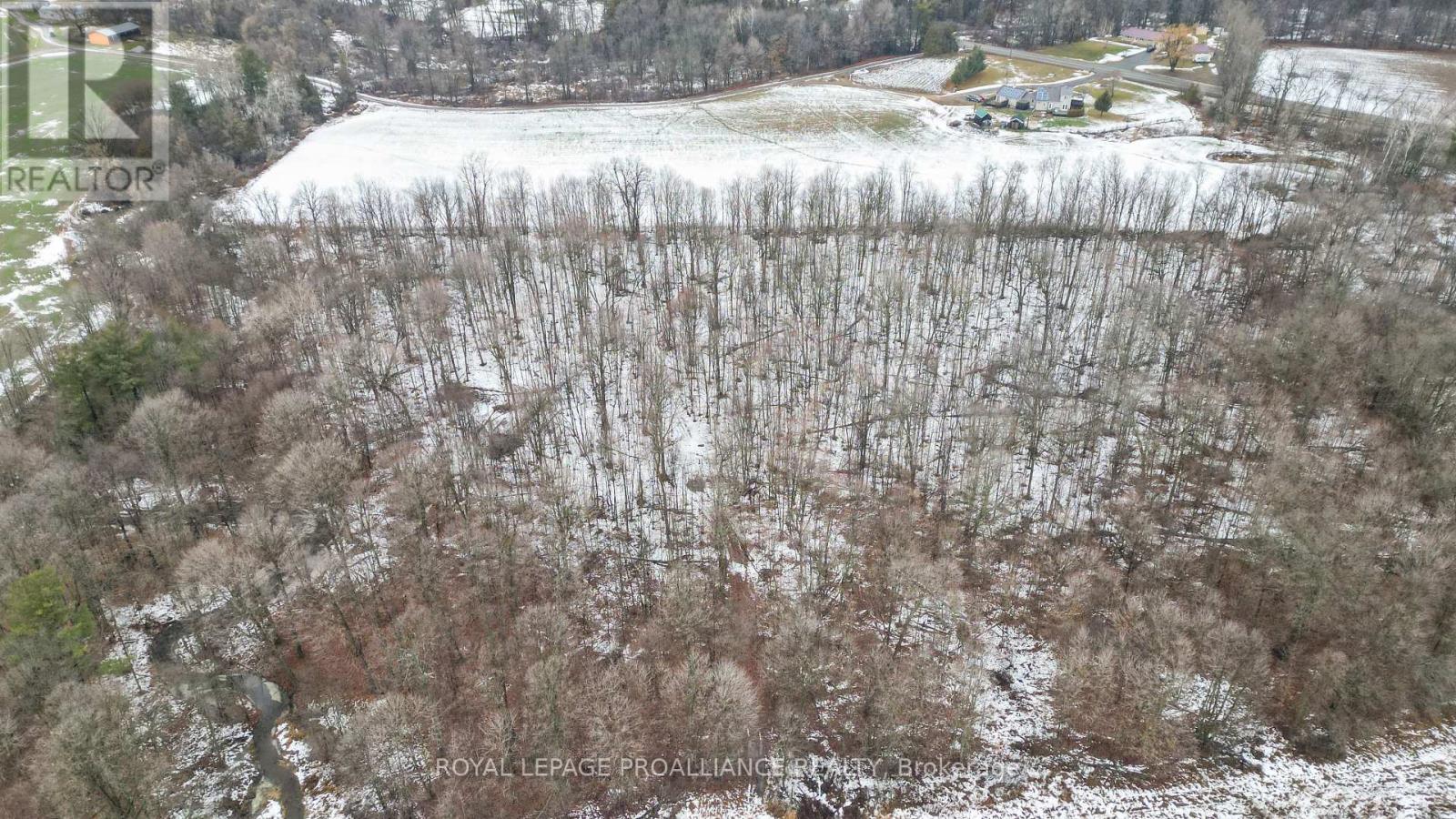 256 Moira Road, Centre Hastings, Ontario  K0K 3E0 - Photo 45 - X12646504