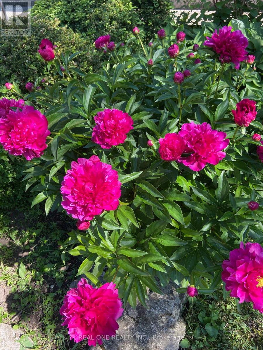 Uper Level - 22 Princeway Drive, Toronto, Ontario  M1R 2V9 - Photo 6 - E12640086