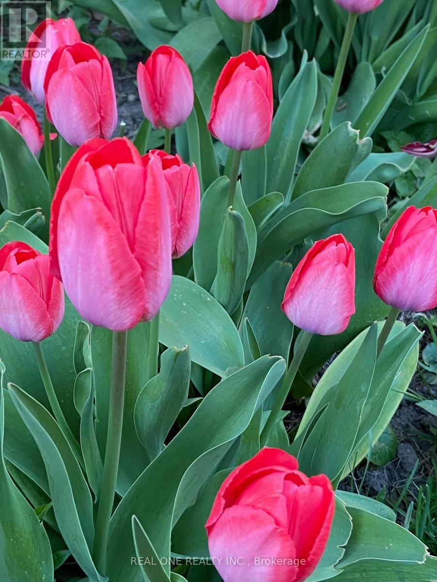 Uper Level - 22 Princeway Drive, Toronto, Ontario  M1R 2V9 - Photo 4 - E12640086