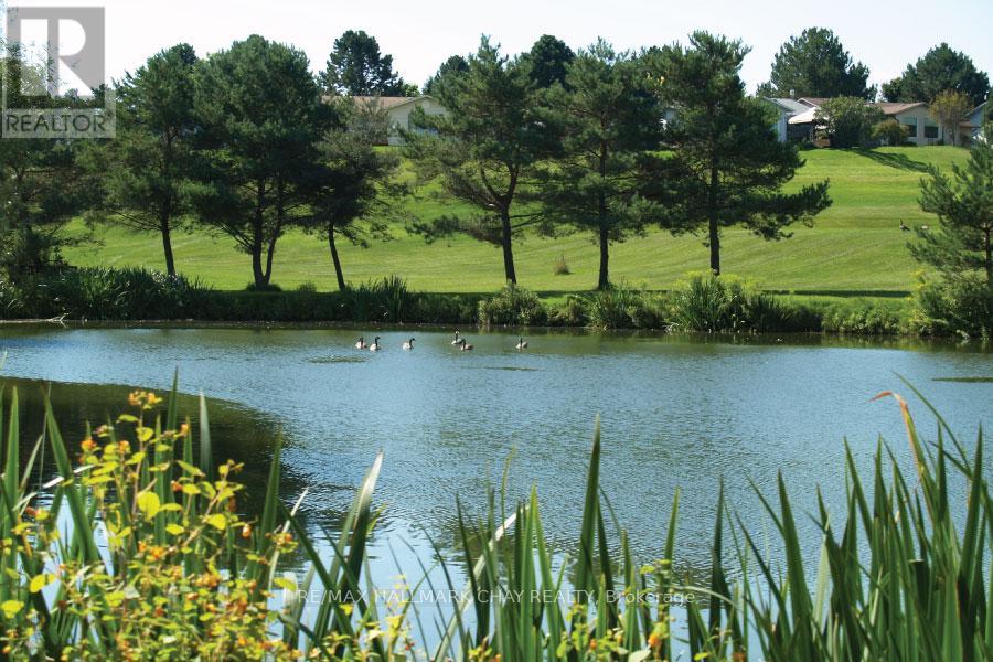 72 Tecumseth Pines Drive, New Tecumseth, Ontario  L0G 1W0 - Photo 46 - N12778156