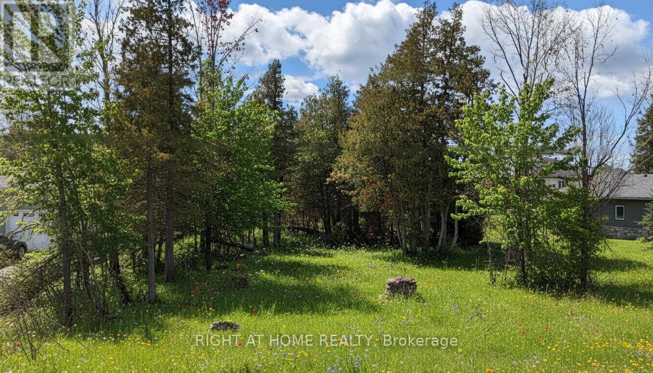 239 Front Street W, Kawartha Lakes, Ontario  K0M 1A0 - Photo 2 - X12778100