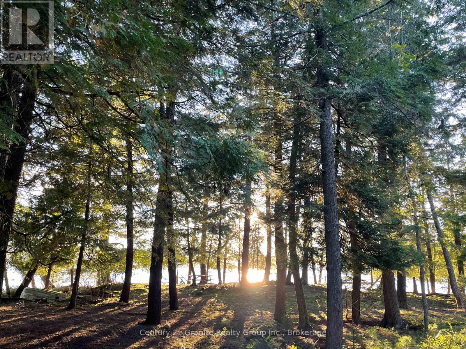 0 Soyers Lake Road, Minden Hills, Ontario  K0M 2K0 - Photo 4 - X12778234