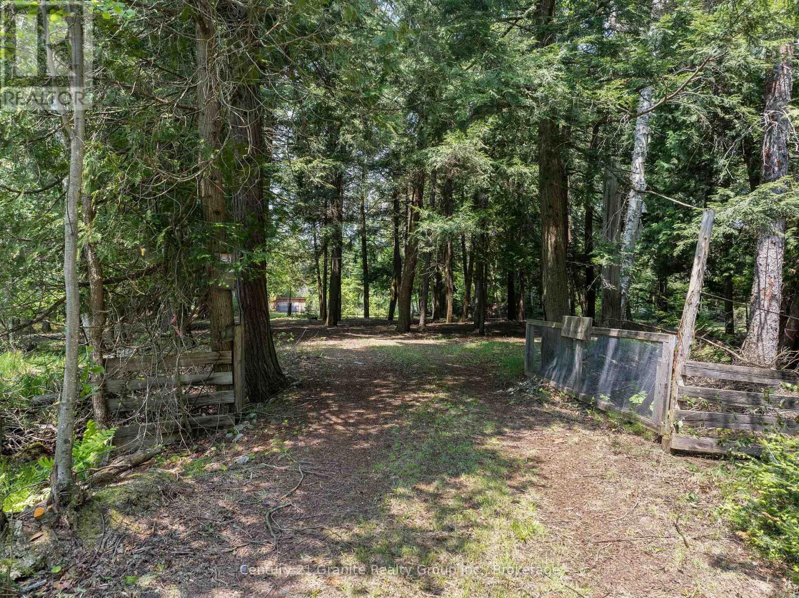 0 Soyers Lake Road, Minden Hills, Ontario  K0M 2K0 - Photo 8 - X12778234