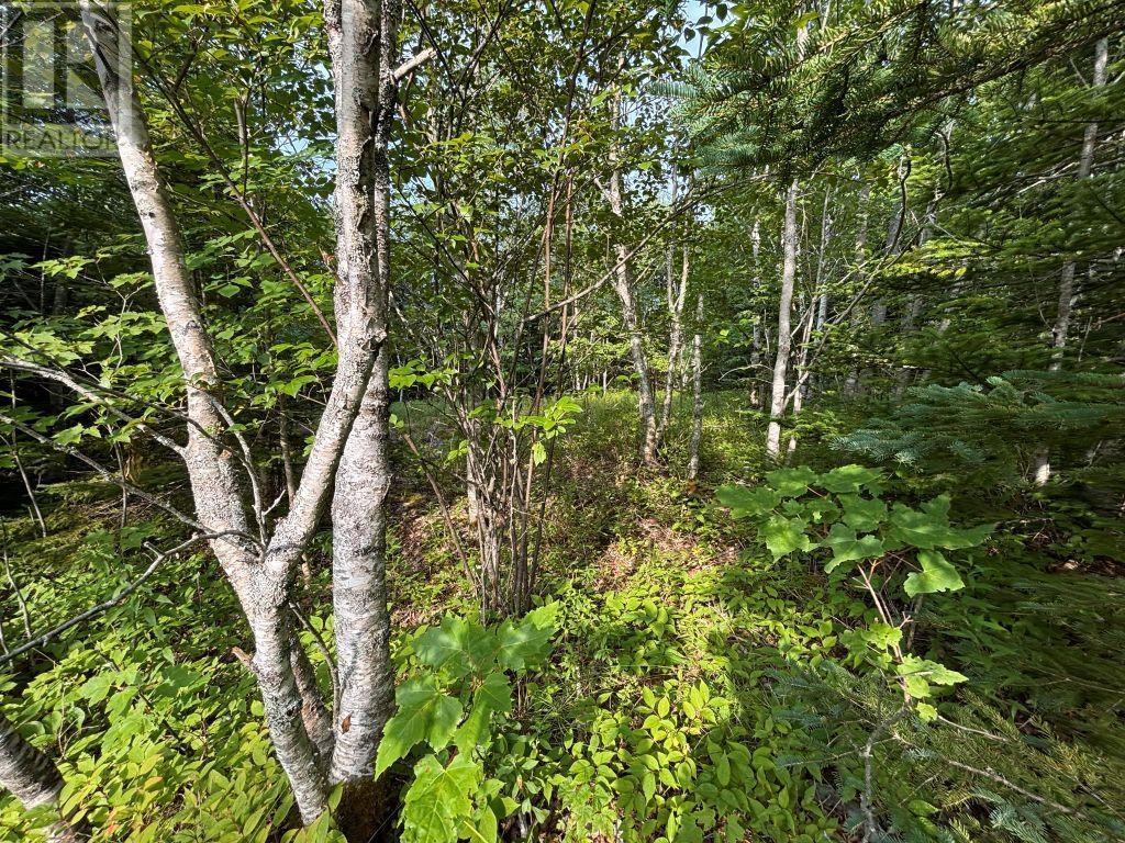 Lot 82-2 Lays Lake Road, Meaghers Grant, Nova Scotia  B0N 1V0 - Photo 2 - 202602563