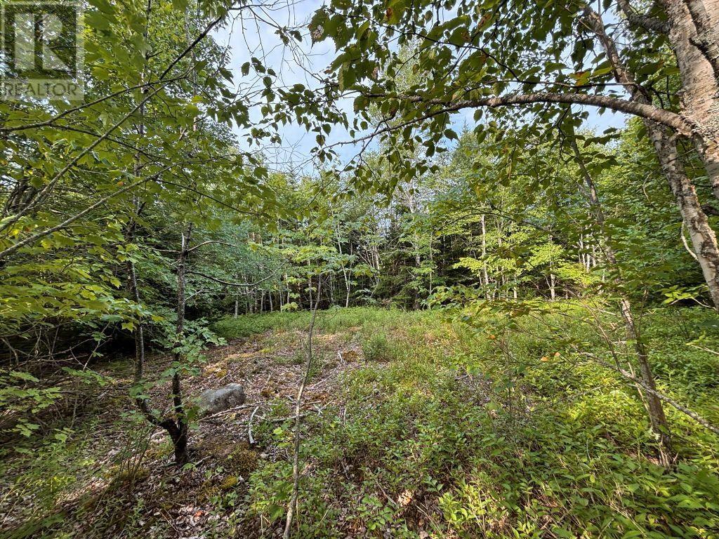 Lot 82-2 Lays Lake Road, Meaghers Grant, Nova Scotia  B0N 1V0 - Photo 3 - 202602563
