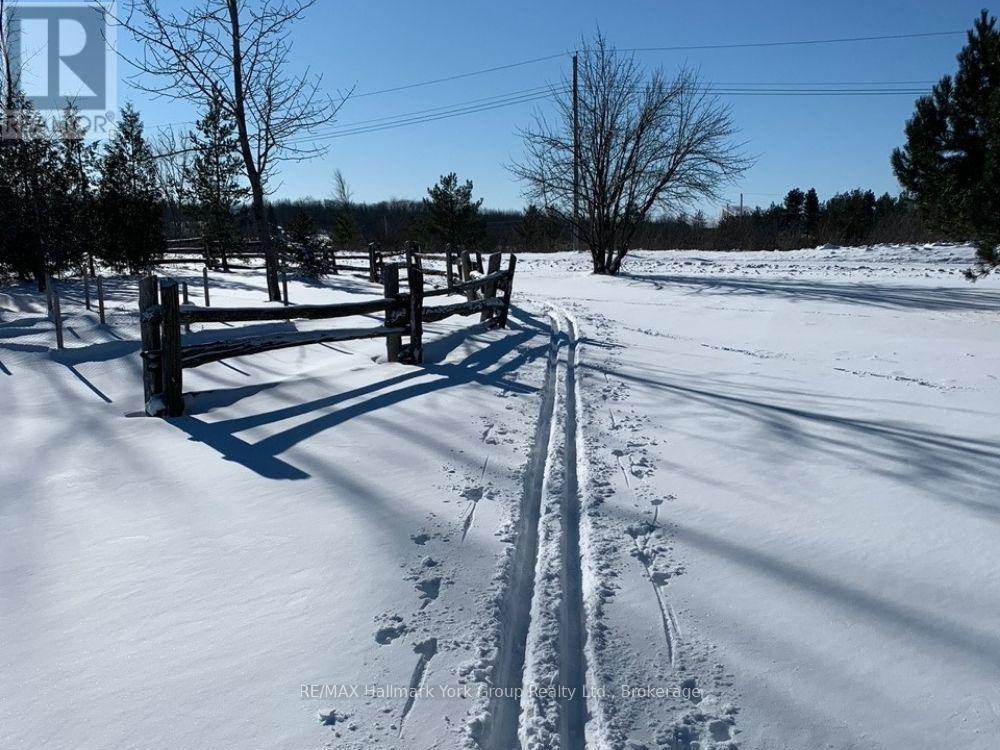 125 Mountain Road, Meaford, Ontario N4L 1W6 - Photo 5 - X12640760