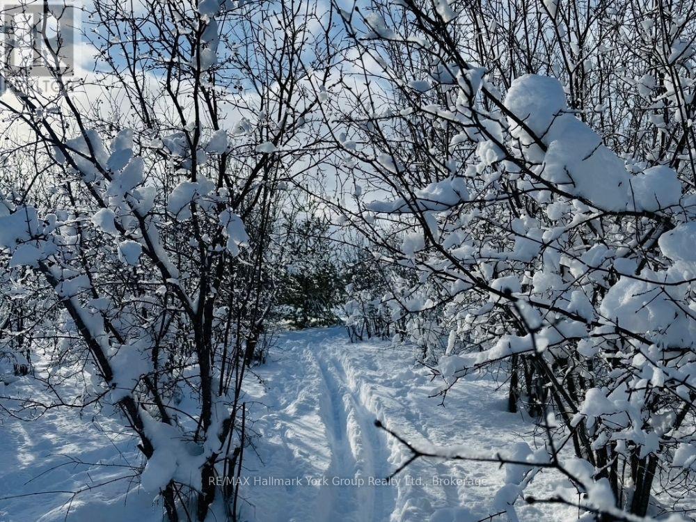 125 Mountain Road, Meaford, Ontario N4L 1W6 - Photo 6 - X12640760