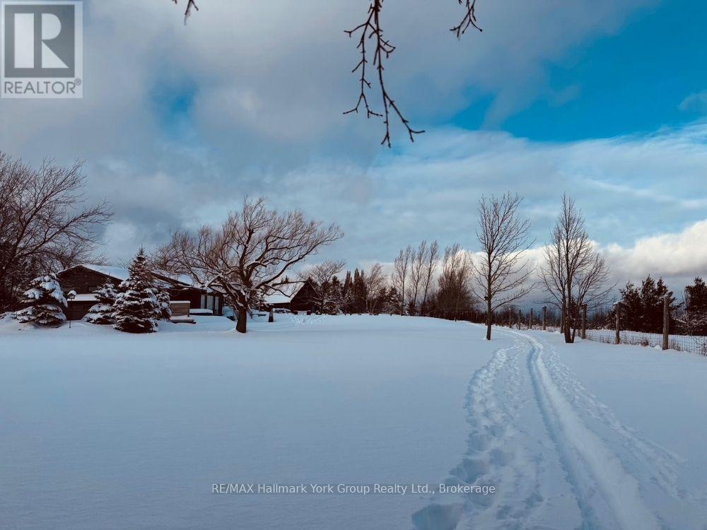 125 Mountain Road, Meaford, Ontario N4L 1W6 - Photo 4 - X12640760