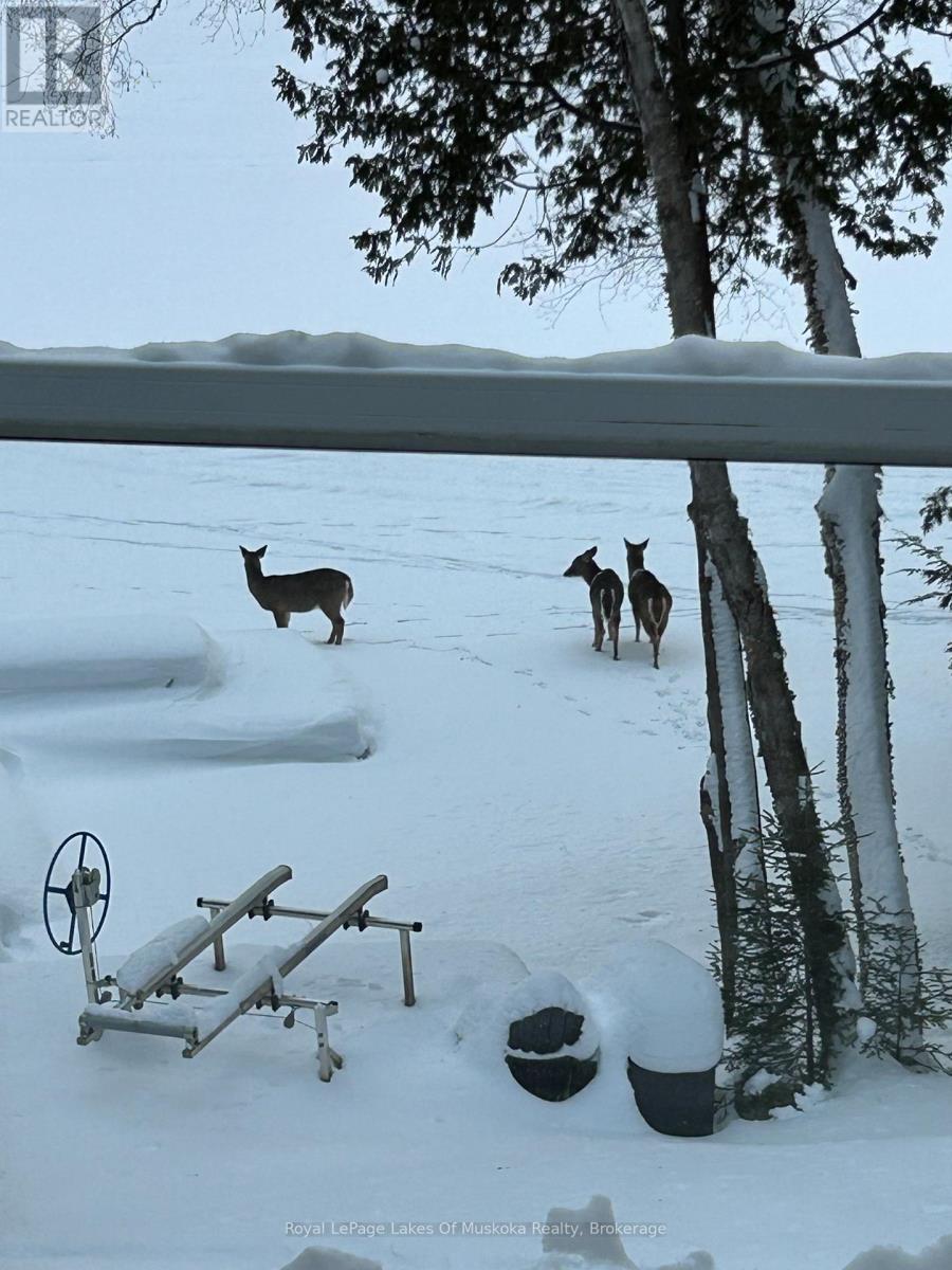 340 Wurm Road, Magnetawan, Ontario  P0A 1P0 - Photo 46 - X12778362