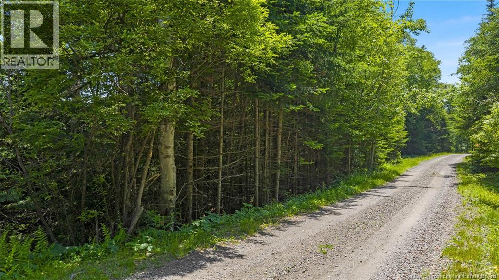 Lot Berry Point Road, Bocabec, New Brunswick  E5B 3P3 - Photo 22 - NB133495