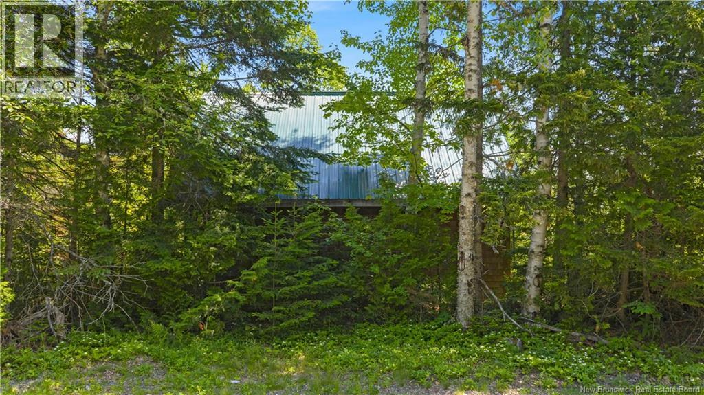 Lot Berry Point Road, Bocabec, New Brunswick  E5B 3P3 - Photo 23 - NB133495