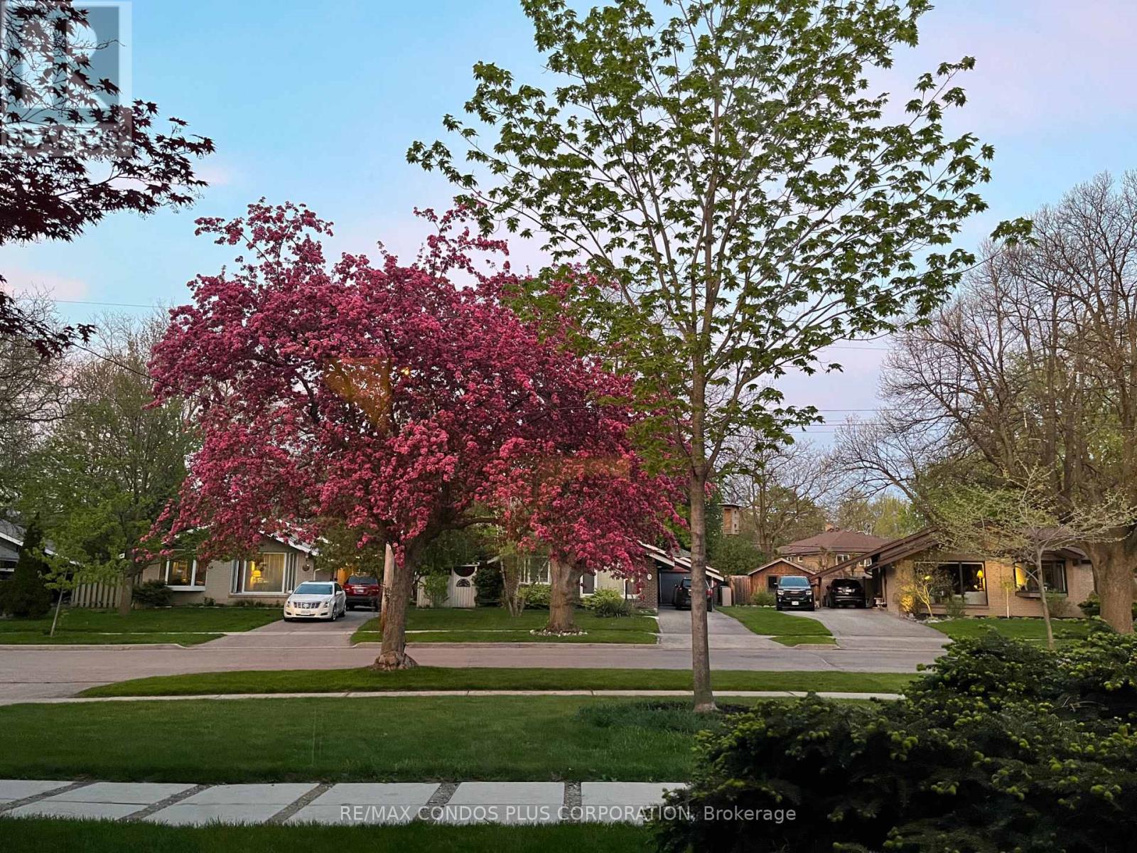 6 Munson Crescent, Toronto, Ontario  M1P 3M7 - Photo 46 - E12778508