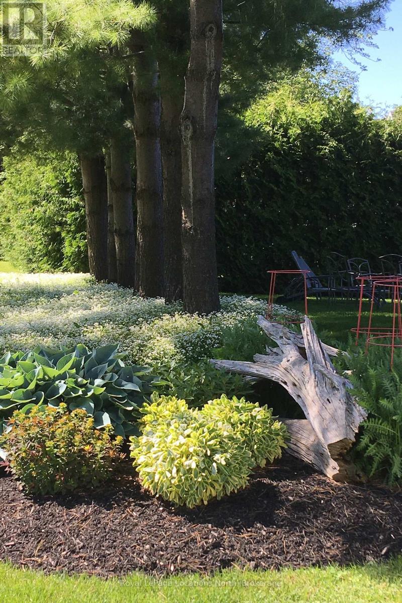 23 Huron Street W, Blue Mountains, Ontario  N0H 2P0 - Photo 33 - X12778690