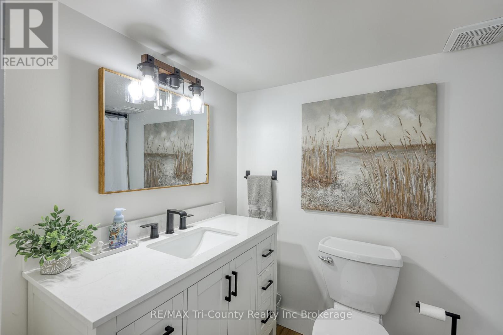 53 Wellington Street, Bayham, Ontario  N0J 1T0 - Photo 23 - X12778514