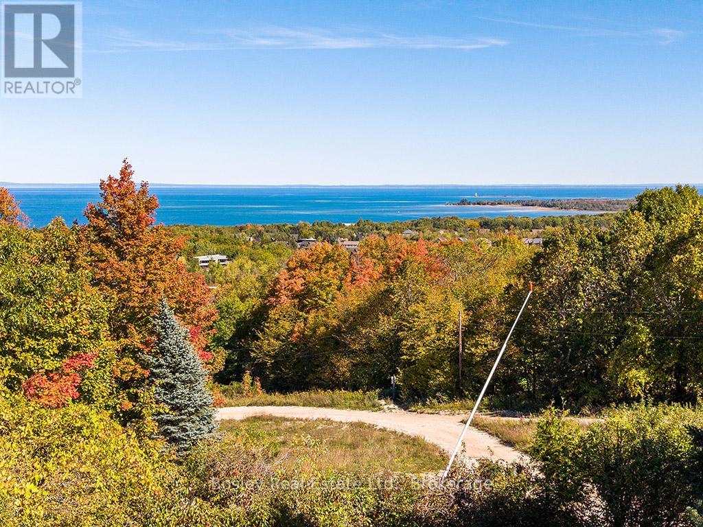 3 - 242 Arrowhead Road, Blue Mountains, Ontario  L9Y 0S1 - Photo 25 - X12778806