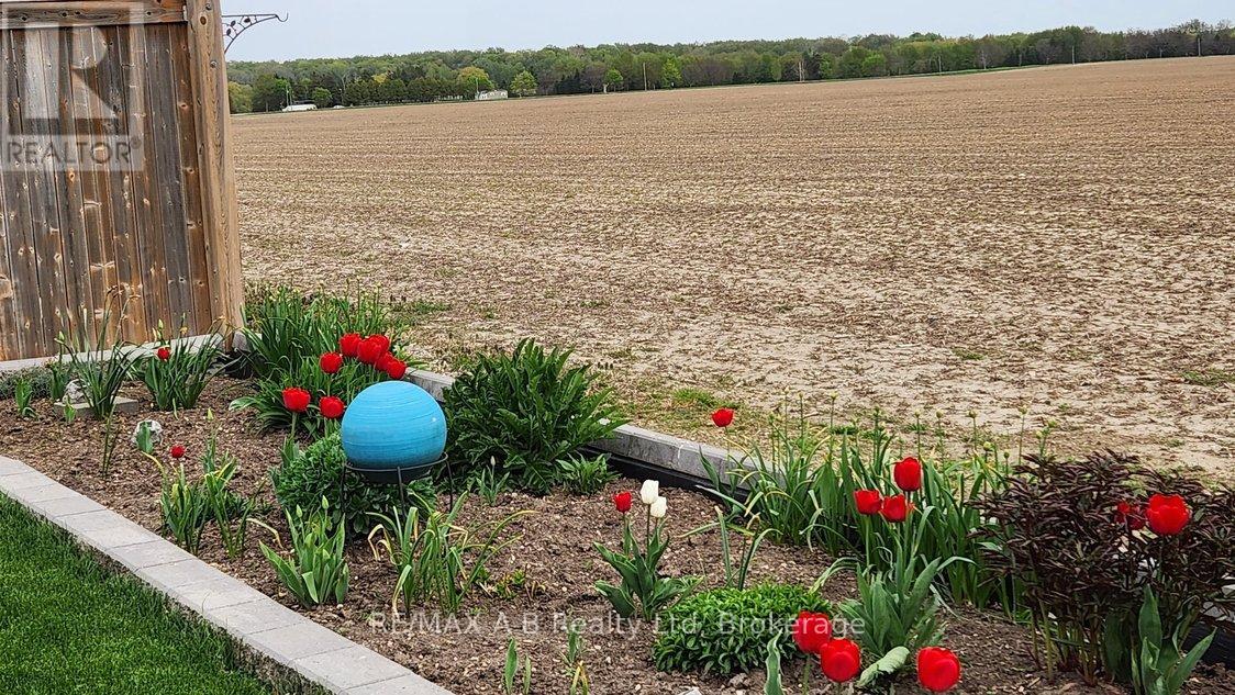 199 Liebler Street, East Zorra-Tavistock, Ontario  N0B 2R0 - Photo 48 - X12778842