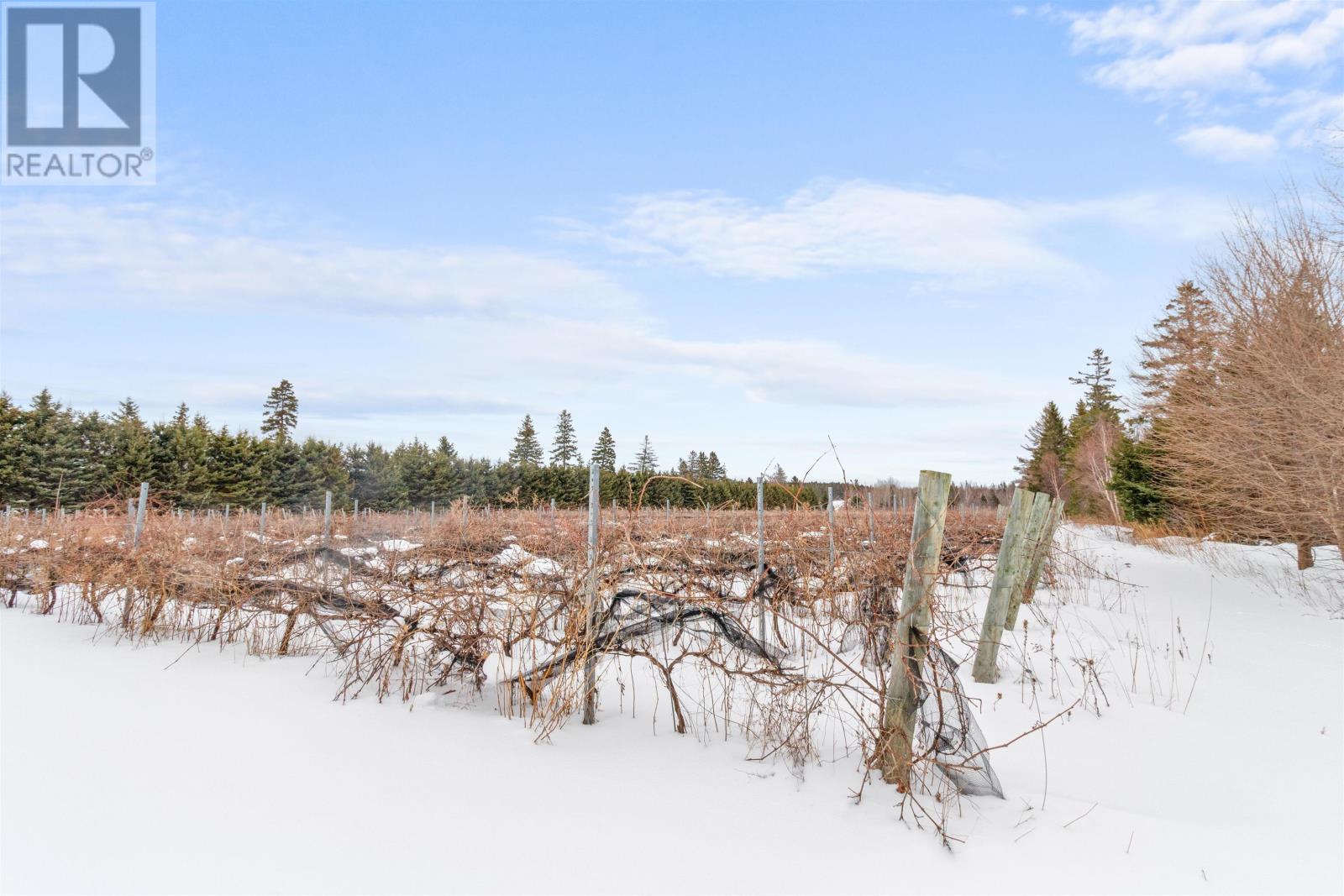 164 Panmure Island, Gaspereaux, Prince Edward Island  C0A 1R0 - Photo 24 - 202602578