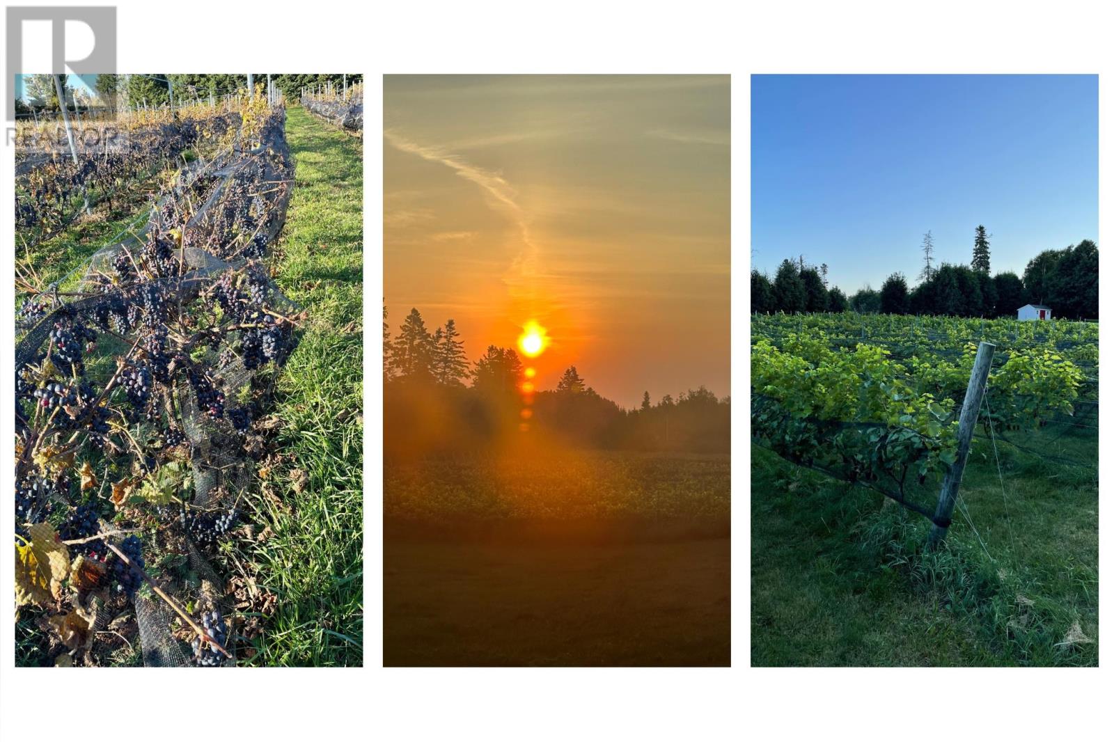 164 Panmure Island, Gaspereaux, Prince Edward Island  C0A 1R0 - Photo 29 - 202602578