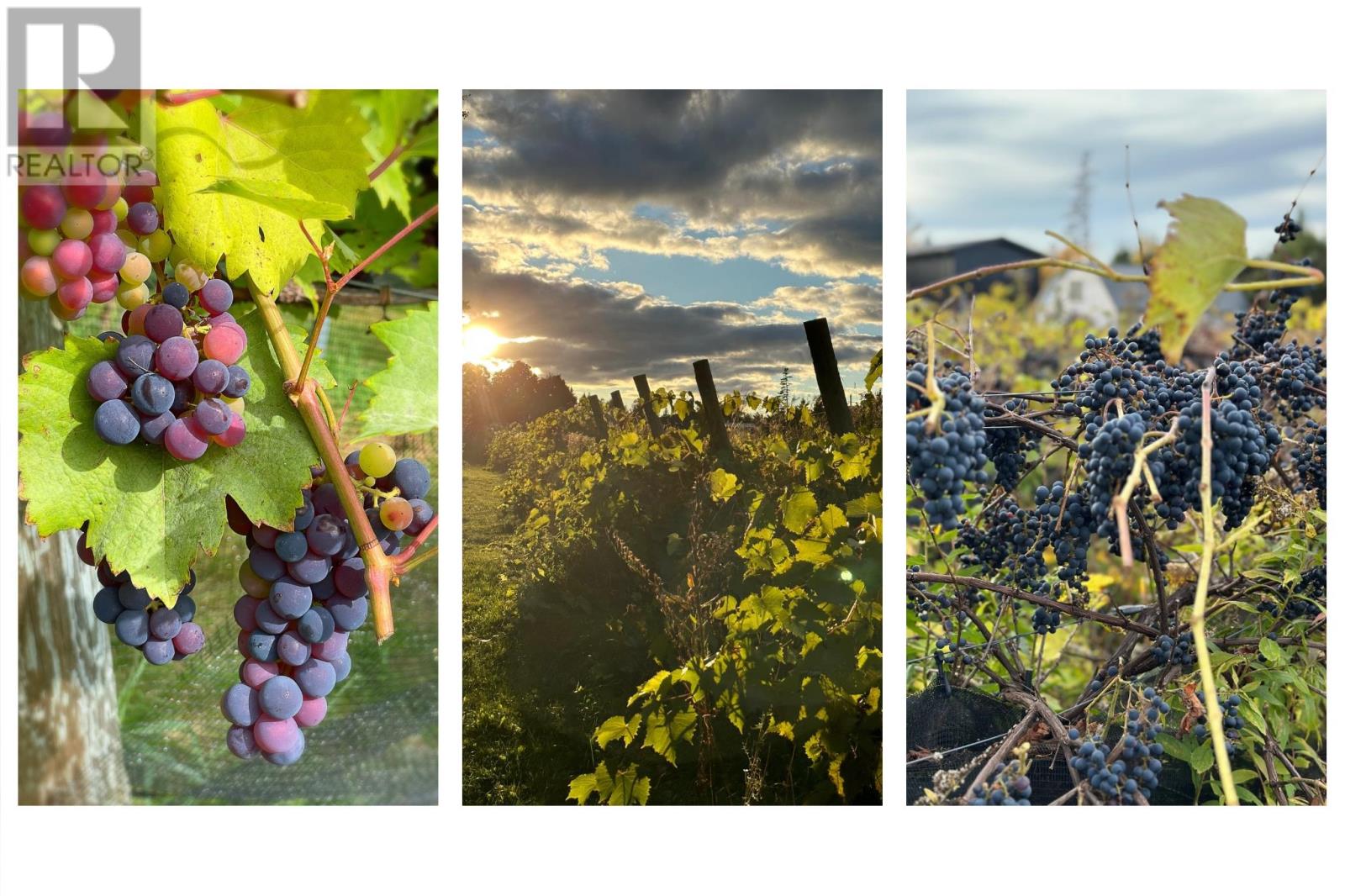 164 Panmure Island, Gaspereaux, Prince Edward Island  C0A 1R0 - Photo 6 - 202602578