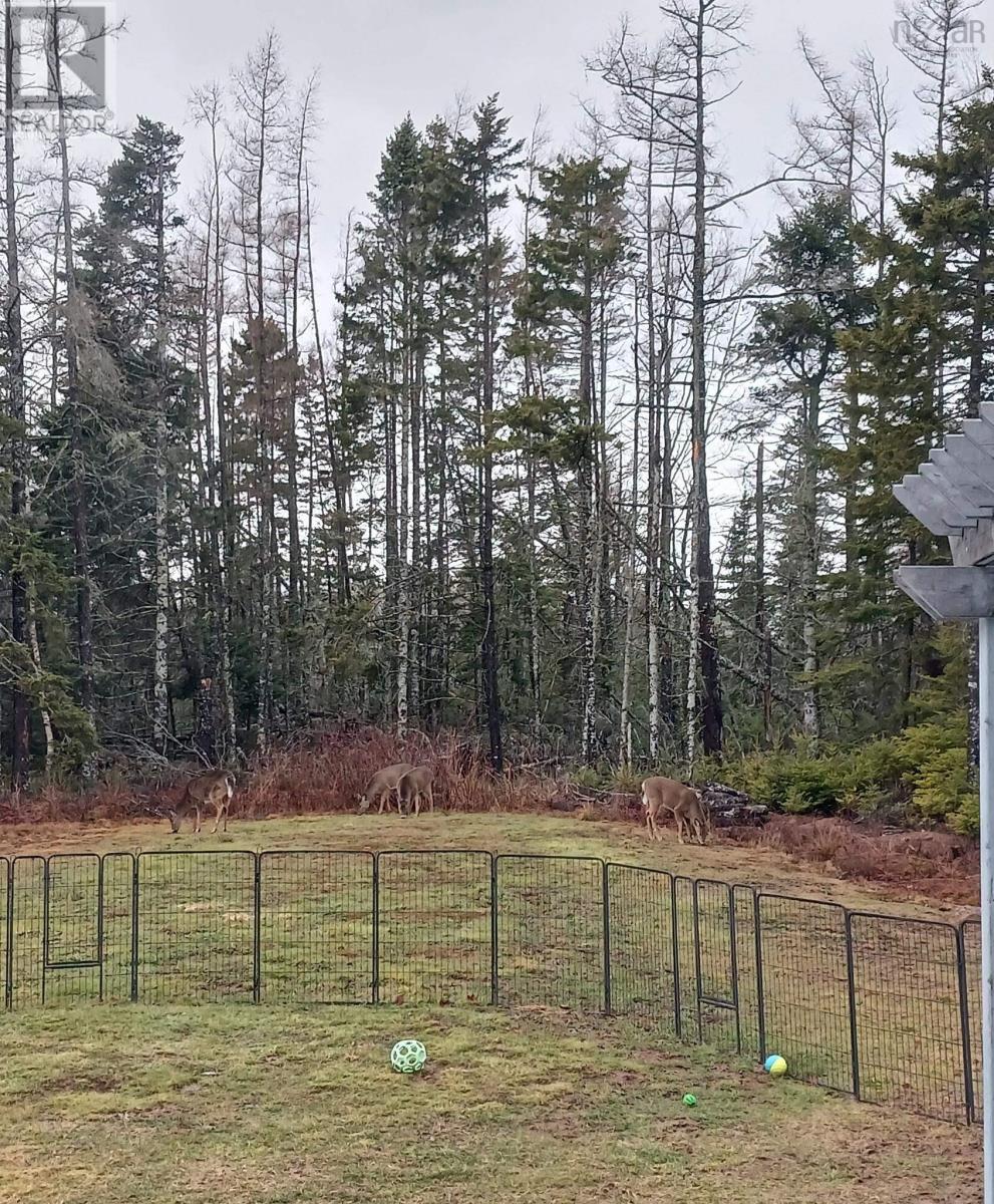 99 Cross Road, Great Village, Nova Scotia  B0M 1L0 - Photo 21 - 202601826