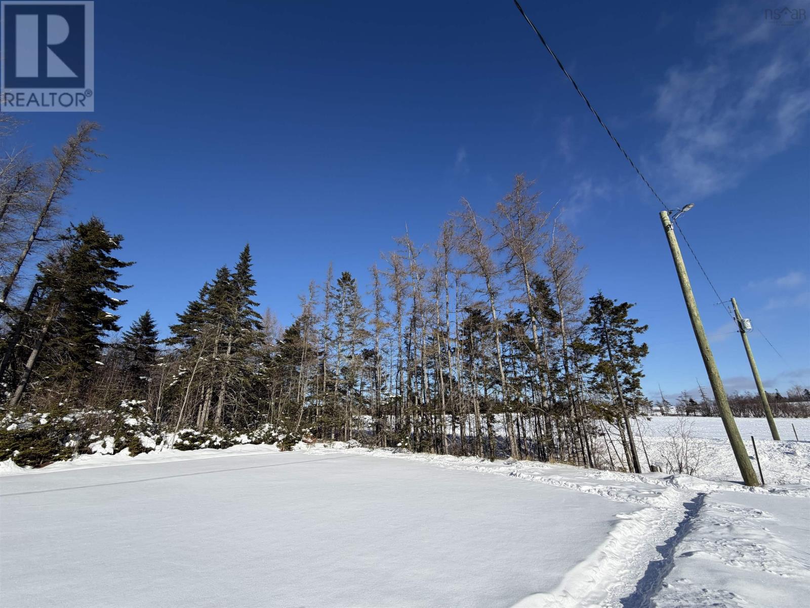 99 Cross Road, Great Village, Nova Scotia  B0M 1L0 - Photo 8 - 202601826