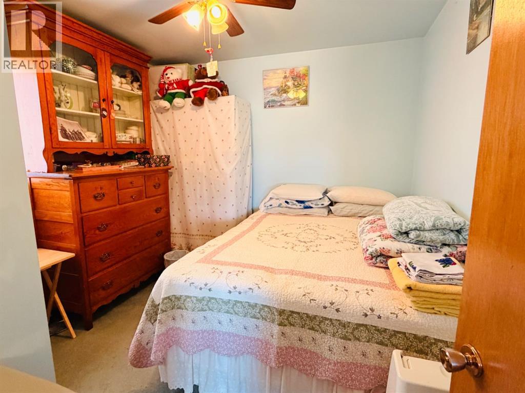 421 Retzke Street, Enchant, Alberta  T0K 0V0 - Photo 21 - A2285117