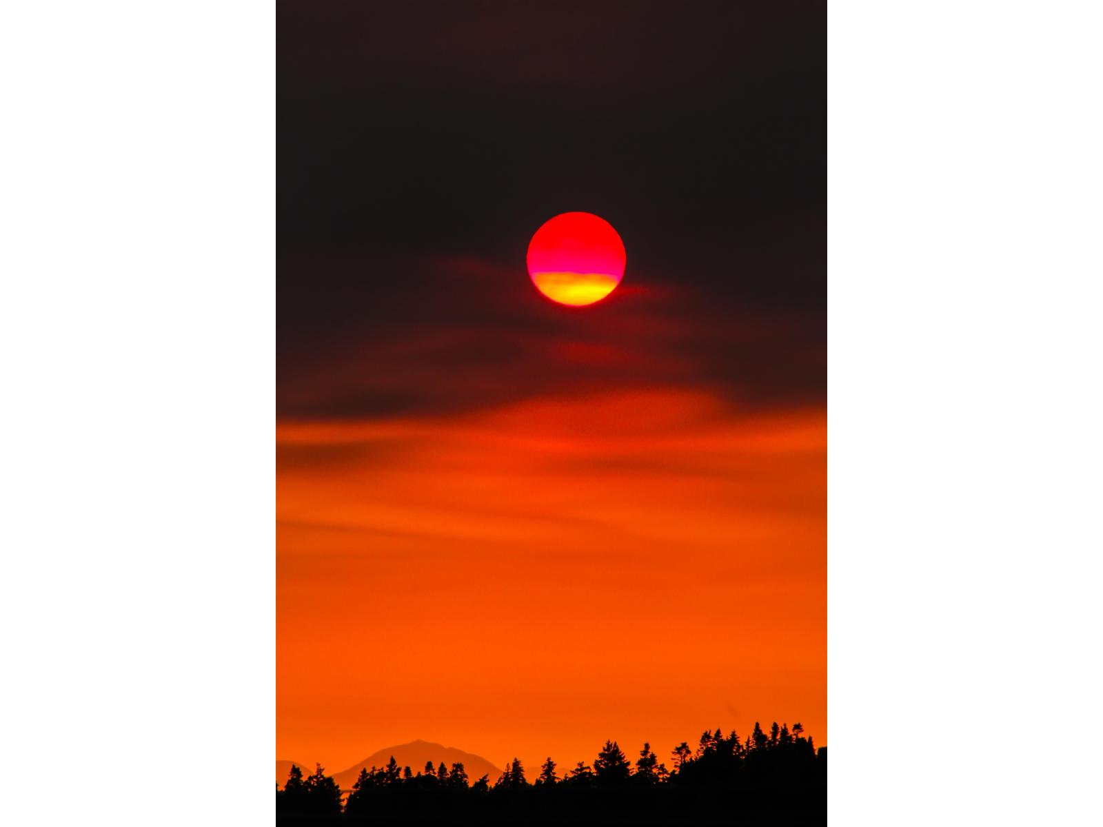 302 15130 Prospect Avenue, White Rock, British Columbia  V4B 2B9 - Photo 32 - R3087764