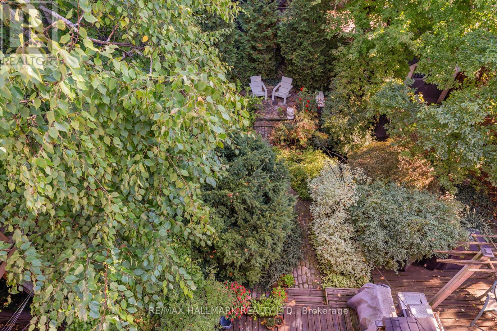 491 Broadview Avenue, Toronto (North Riverdale), Ontario  M4K 2N4 - Photo 49 - E12779252