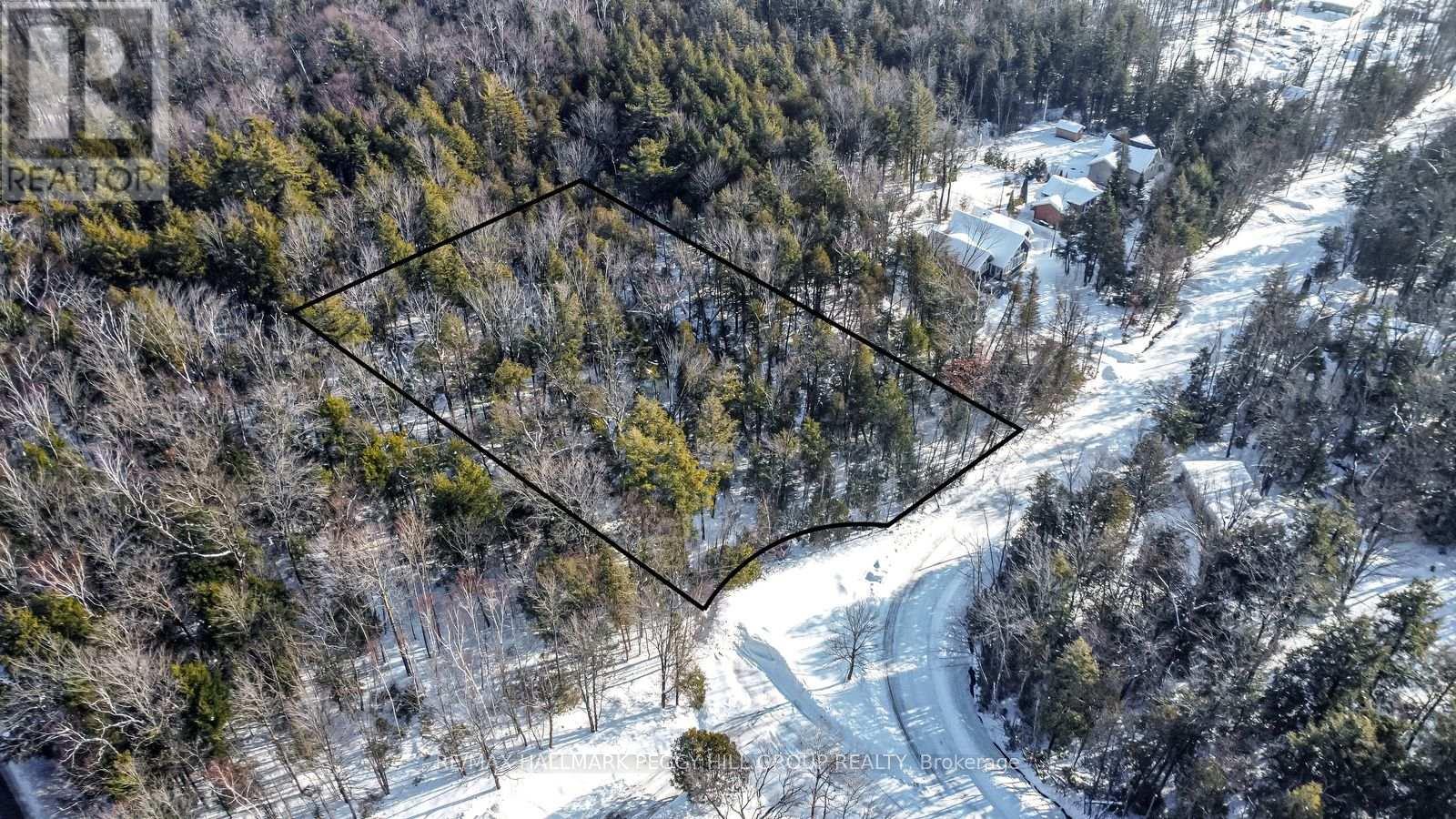 38 Lasalle Trail, Tiny, Ontario  L9M 0G3 - Photo 3 - S12779264