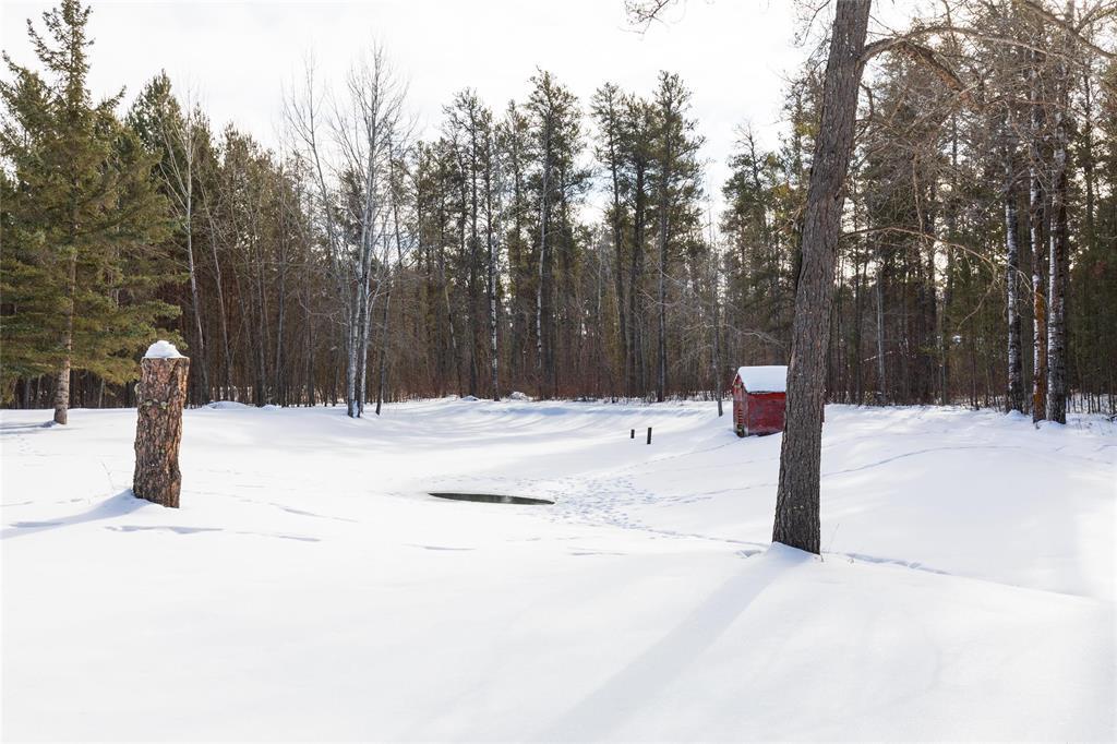 46 Beau Sapin Street, Marchand, Manitoba  R0A 0Z0 - Photo 38 - 202602462