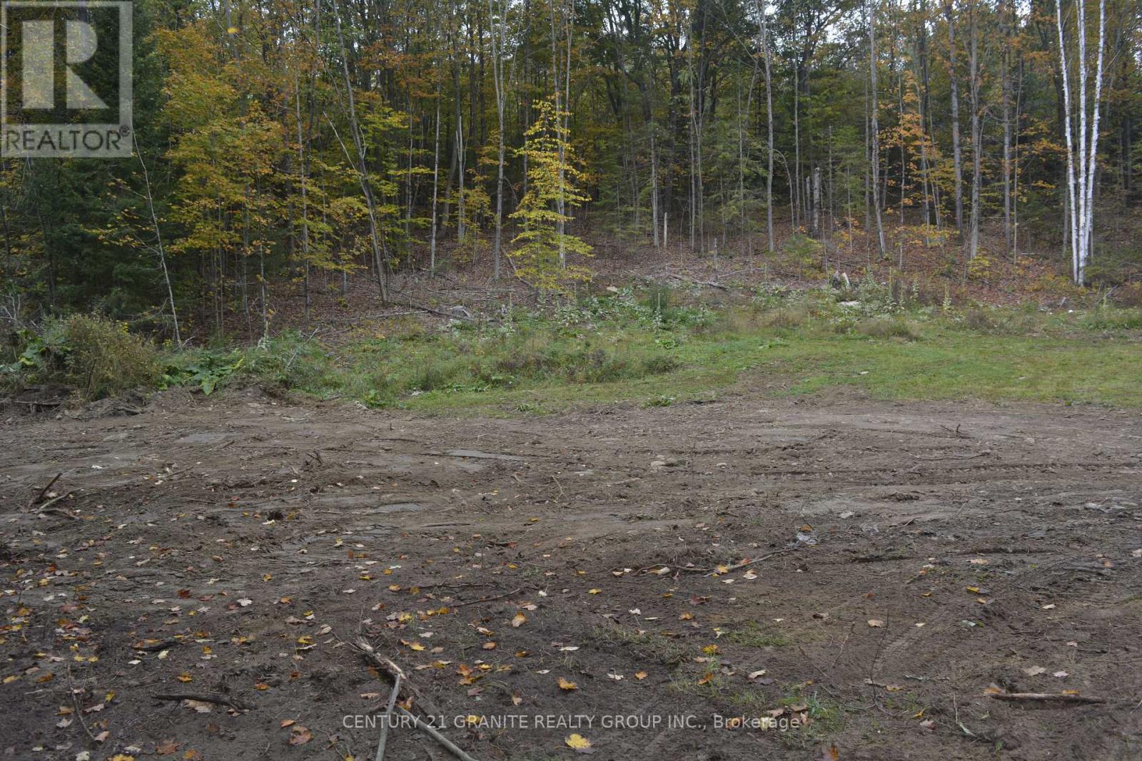 314 Airport Road, Faraday, Ontario  K0L 1C0 - Photo 10 - X12779488