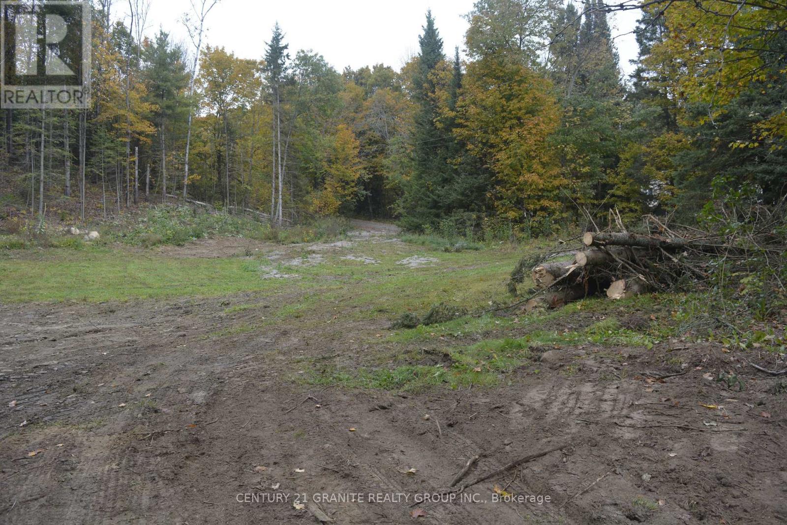 314 Airport Road, Faraday, Ontario  K0L 1C0 - Photo 8 - X12779488