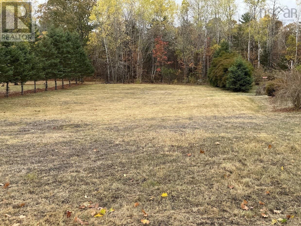 Lot 3 Highway 10, Nictaux, Nova Scotia  B0S 1P0 - Photo 2 - 202529635