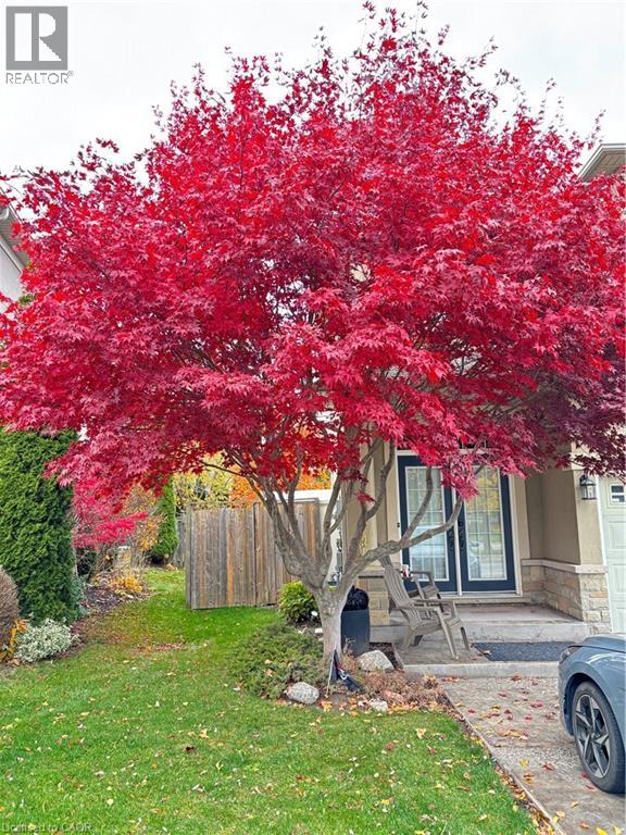 500 Stonehenge Drive, Ancaster, Ontario  L9K 1S7 - Photo 32 - 40800790