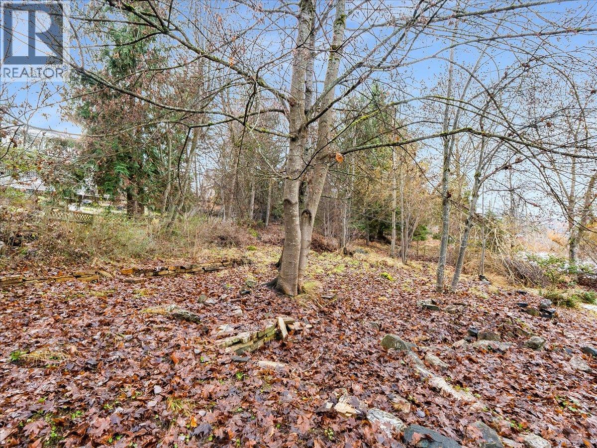 8, 10 & 16 View Street, Nelson, British Columbia  V1L 2V2 - Photo 8 - 10375397