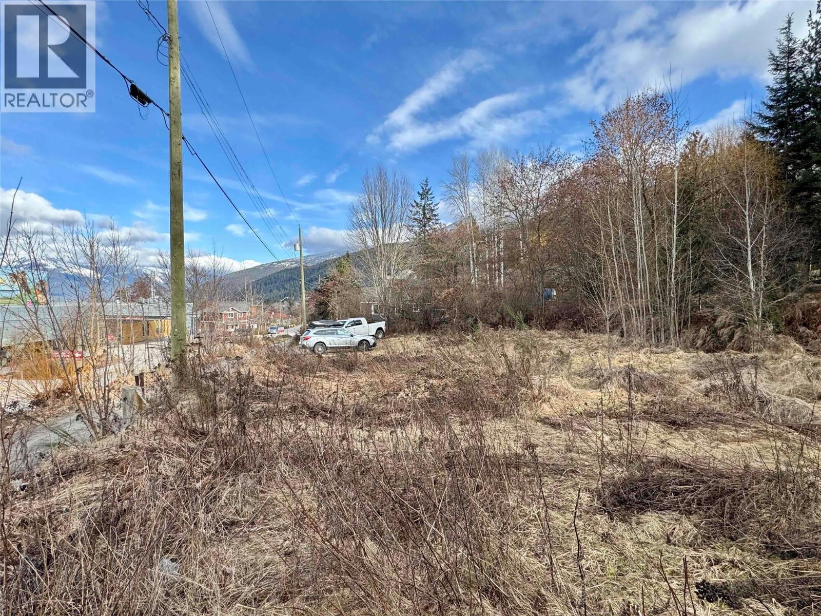 8, 10 & 16 View Street, Nelson, British Columbia  V1L 2V2 - Photo 46 - 10375397