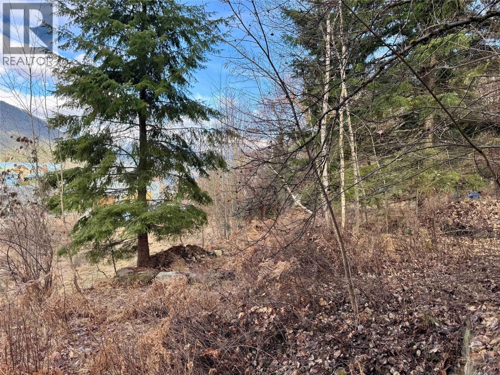 8, 10 & 16 View Street, Nelson, British Columbia  V1L 2V2 - Photo 44 - 10375397