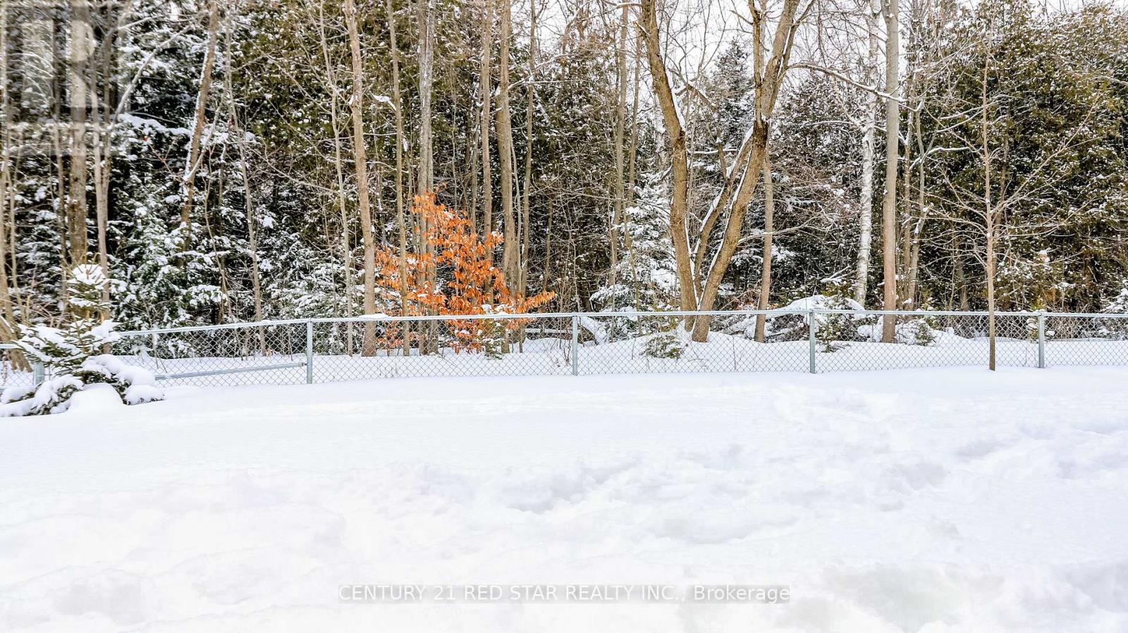 32 Milson Crescent, Essa, Ontario  L0M 1B4 - Photo 32 - N12776578