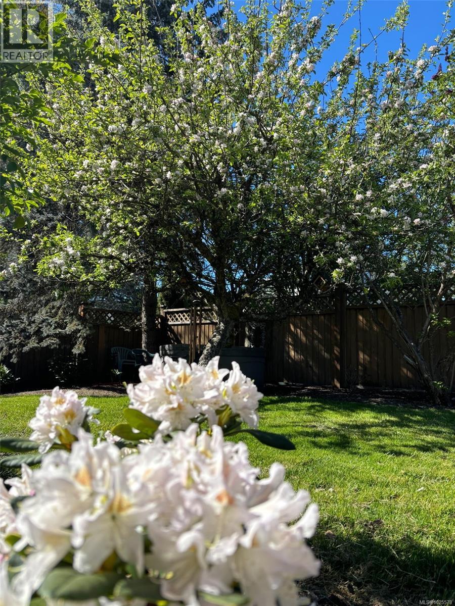 1544 Comox Ave, Comox, British Columbia  V9M 2S2 - Photo 58 - 1025578