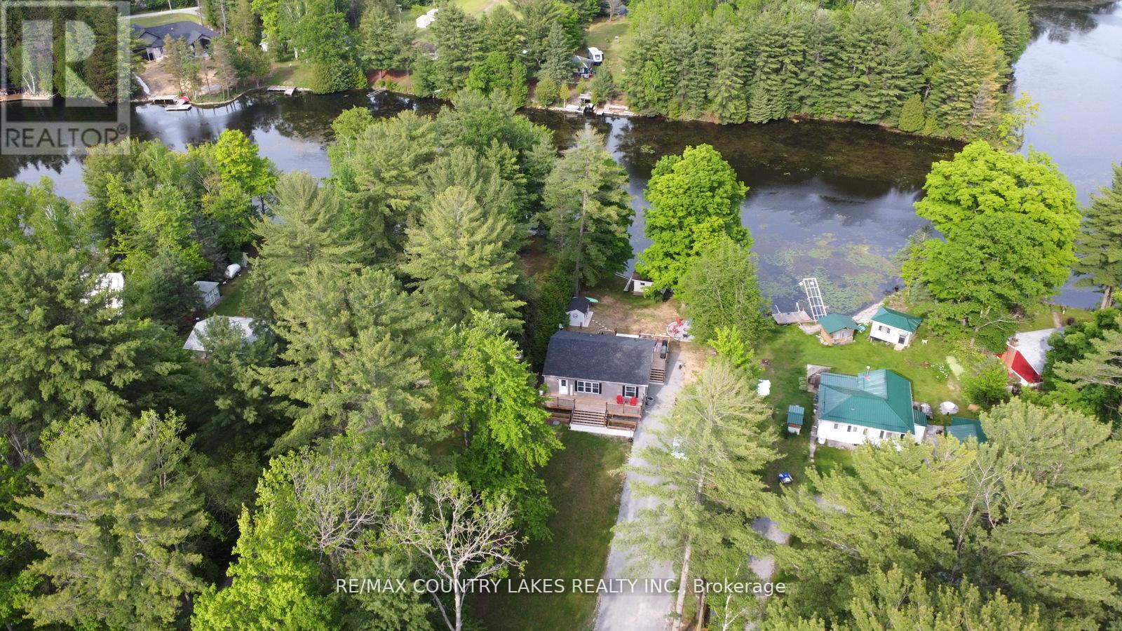 113 Stanley Road, Kawartha Lakes, Ontario  K0M 2T0 - Photo 4 - X12779450