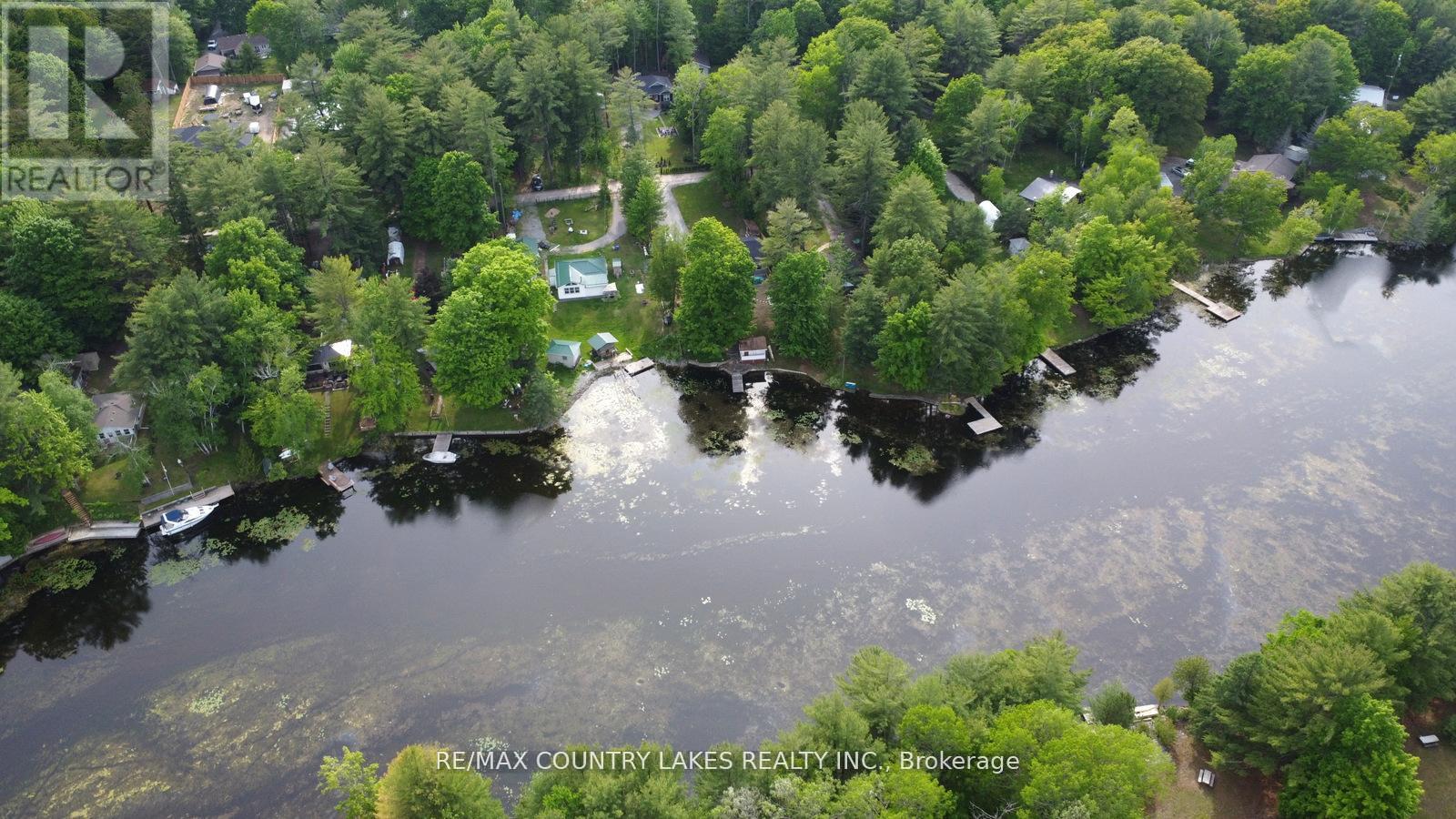 113 Stanley Road, Kawartha Lakes, Ontario  K0M 2T0 - Photo 45 - X12779450